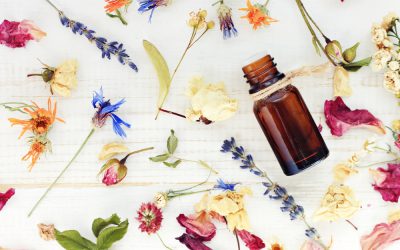 The scents that make up a home