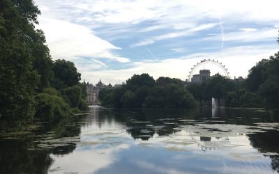 The Instagram guide to our local areas