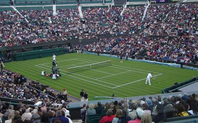 Our 2019 comprehensive guide to Wimbledon